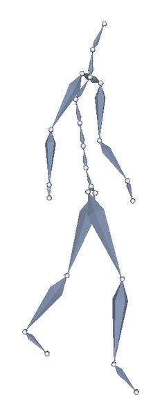 File:Visibleman-armature-posed-opaque.png