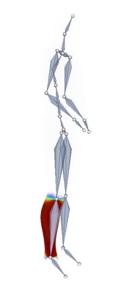 File:Visibleman-2mm-weights-tibia-armature.png